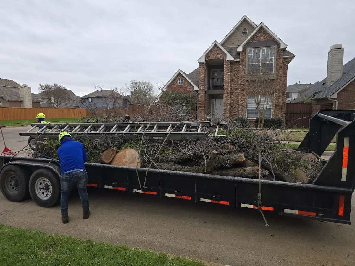 Expert Tree Pest Control with proper safety equipment in Ashburn